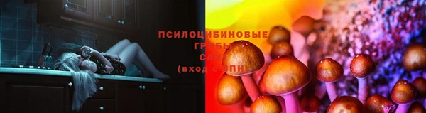 прущая мука Нефтекумск