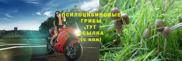 прущие крисы Нефтегорск