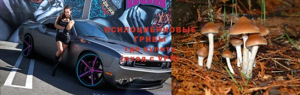 мдма Нея