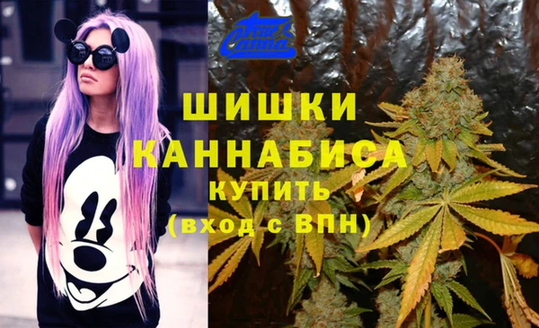 прущие крисы Нефтегорск
