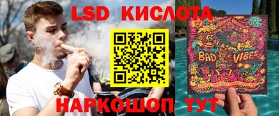 PSILOCYBIN Бугуруслан