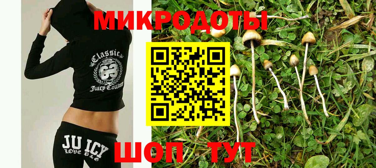 Первоуральск  Псилоцибиновые грибы Psilocybe  даркнет сайт  Галлюциногенные грибы GOLDEN TEACHER  Вход с VPN 